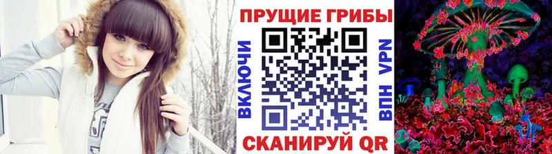 ОМГ ОМГ онион Шарья Псилоцибиновые грибы Psilocybe
